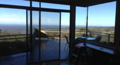 tinted home windows