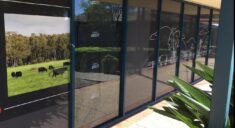 Commercial Window Tinting